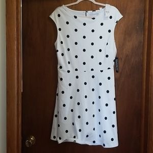 NWT Cotton polka dot Aline dress. Sz L